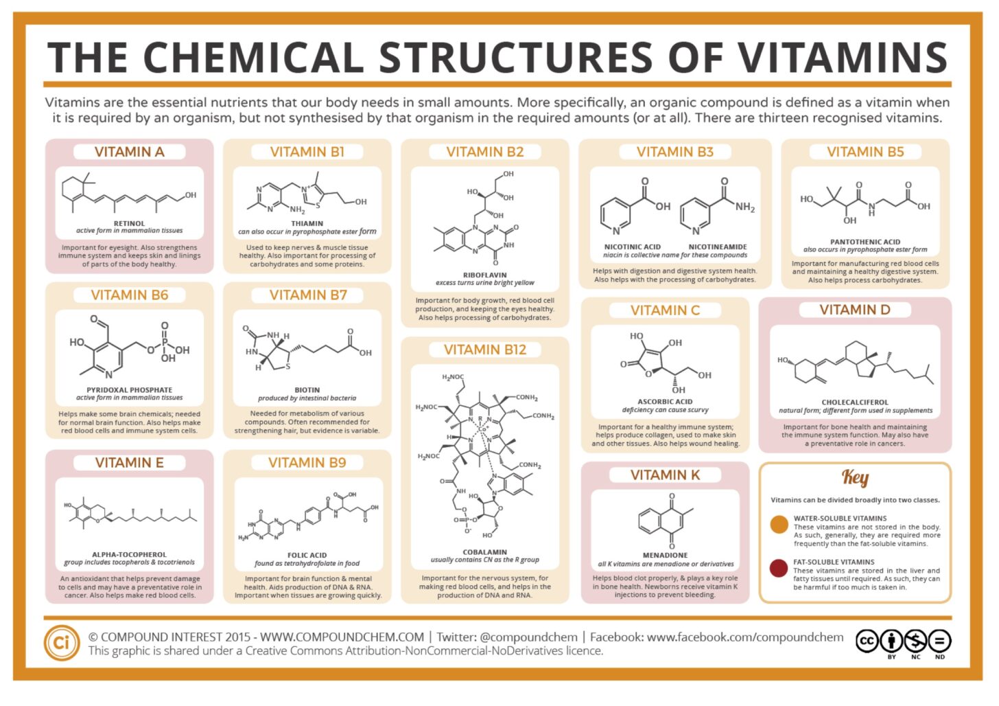 an illustration showing the chemical structures of common vitamins.