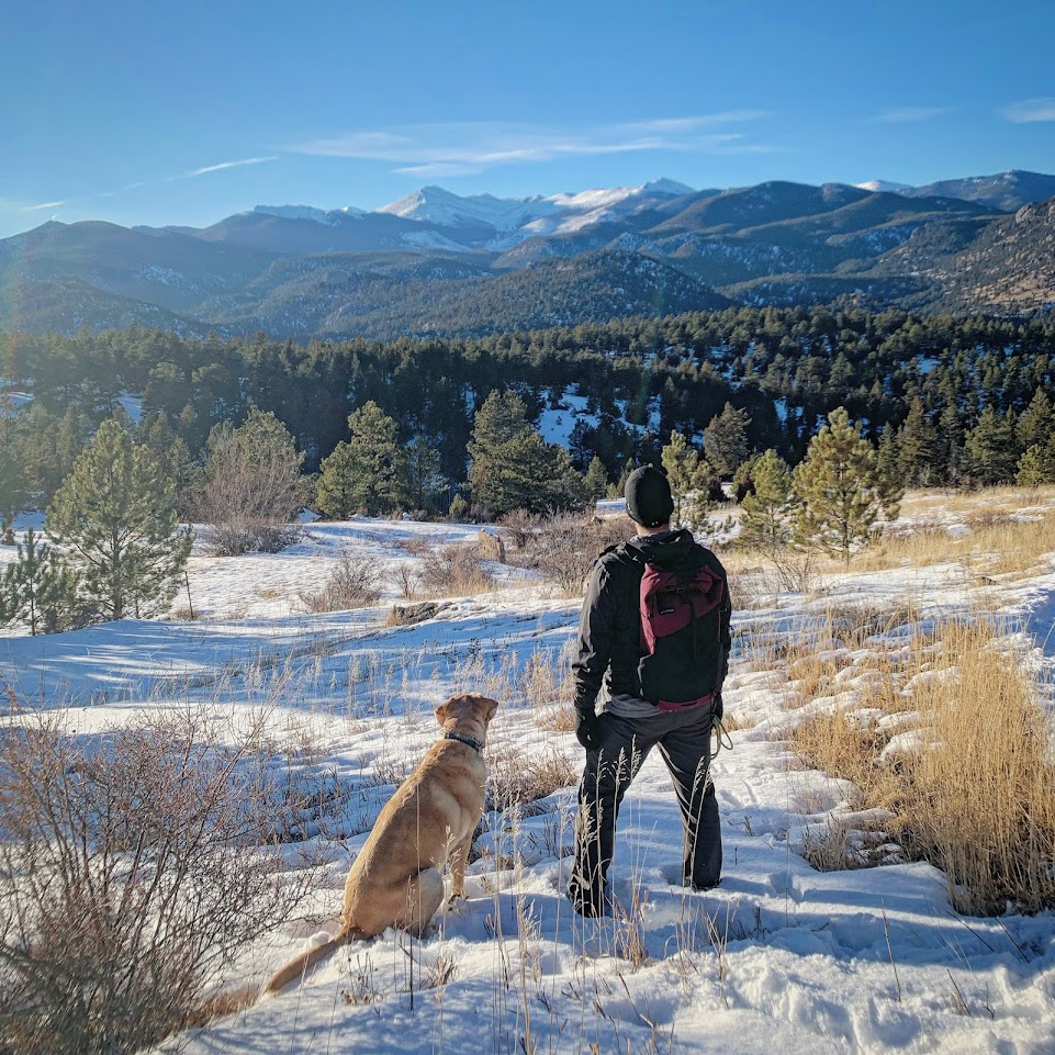 A man and a dog stand in a snowy meadow looking out at a vista of snow-capped mountains.