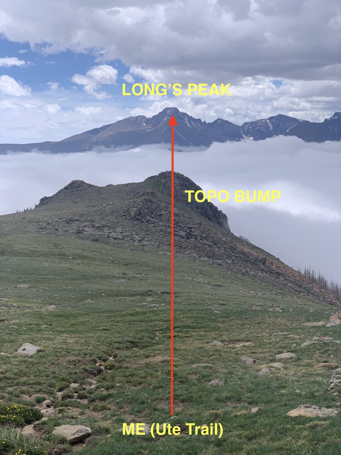 Position fix: at the intersection of the Ute Trail (LOP #1) and a sight line (LOP #2) intersecting me, a topo bump, and Long's Peak.