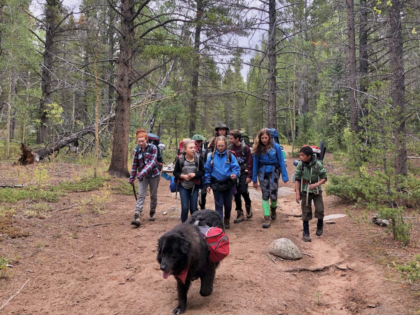 A dog leads a group of children all wearing backpacks.