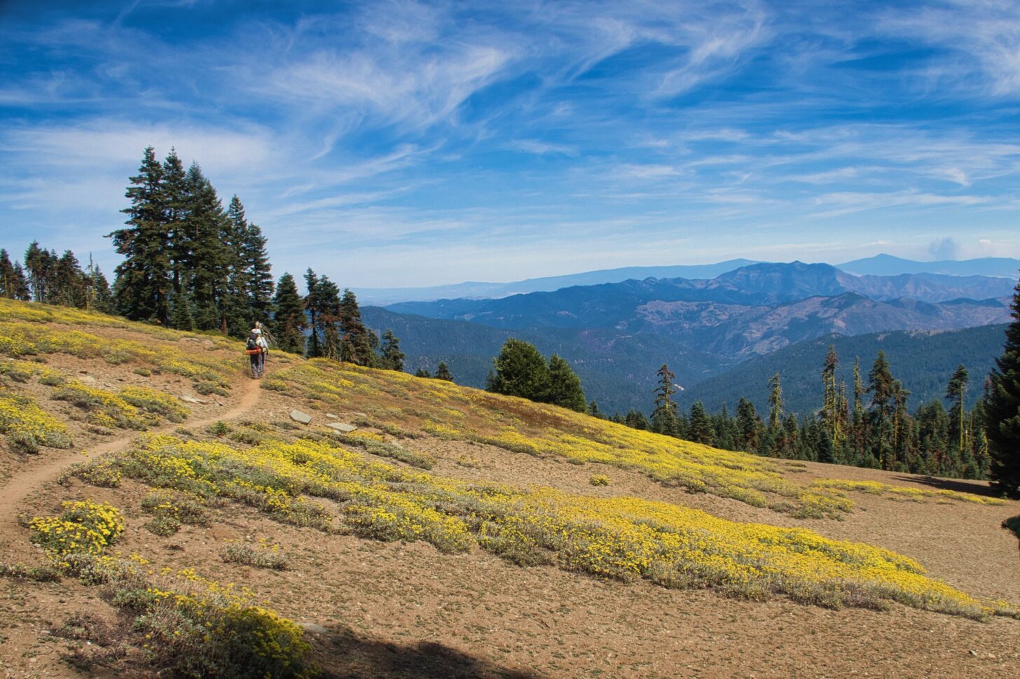 a wide angle shot showing a trail winding off into the distance.