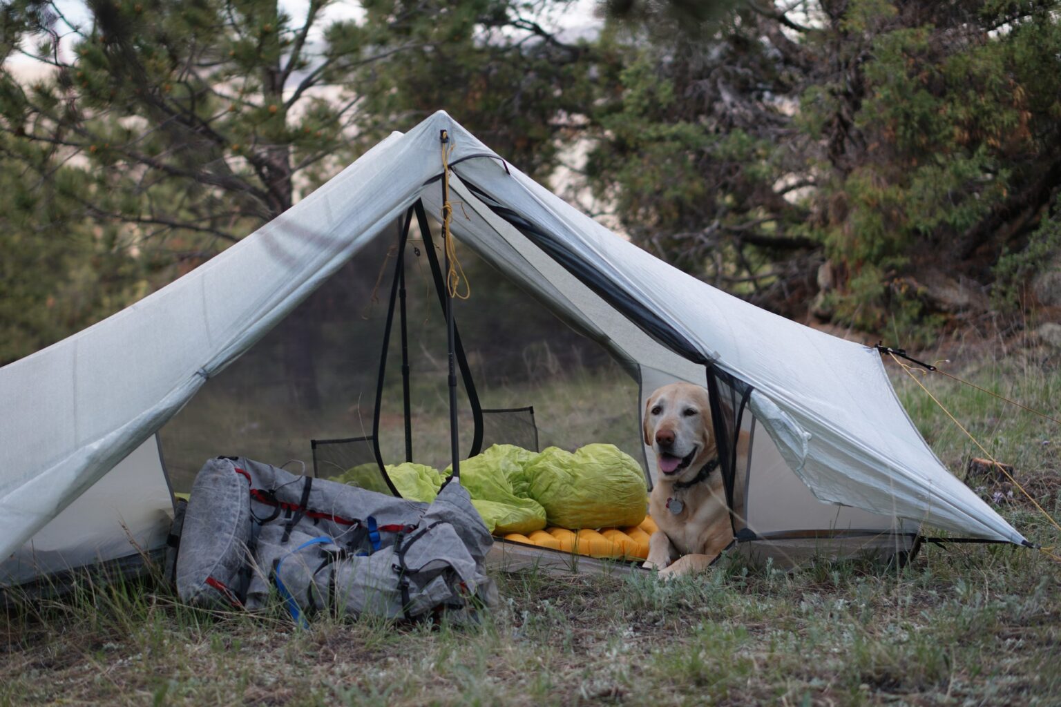 Tarptent Dipole Li Review - Backpacking Light