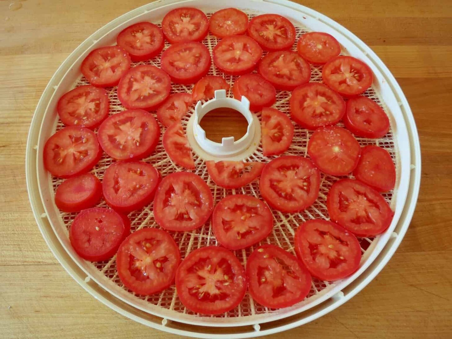Tomatoes spread out on a dehydration rack.