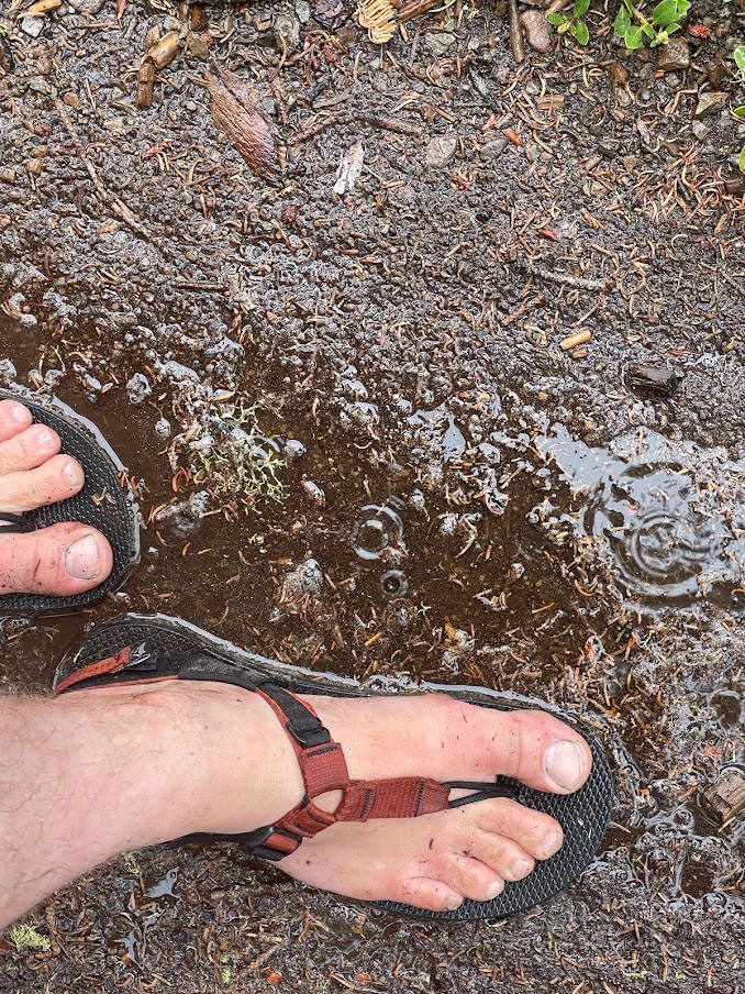a shot from above of feet wearing sandals in a mud puddle