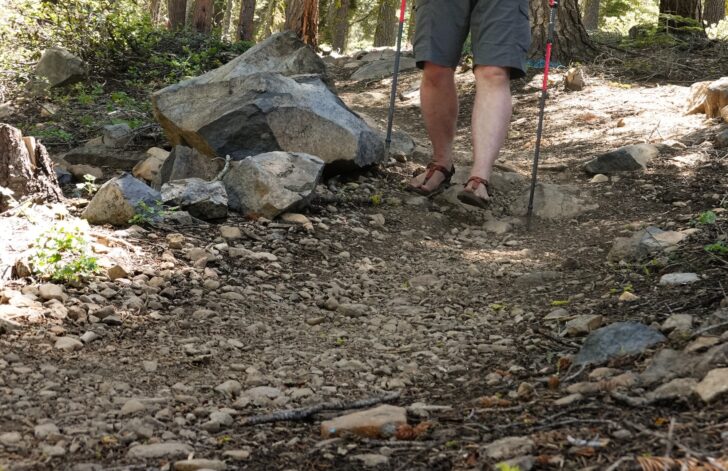 a medium shot of a man's legs walking down a trail while wearing sandals