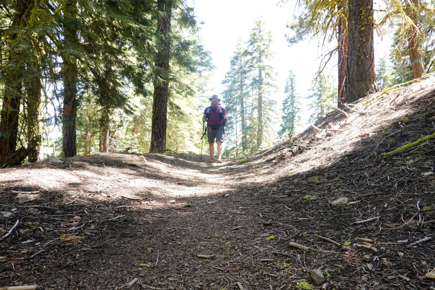 a wide shot of a man backpacking on a trail.