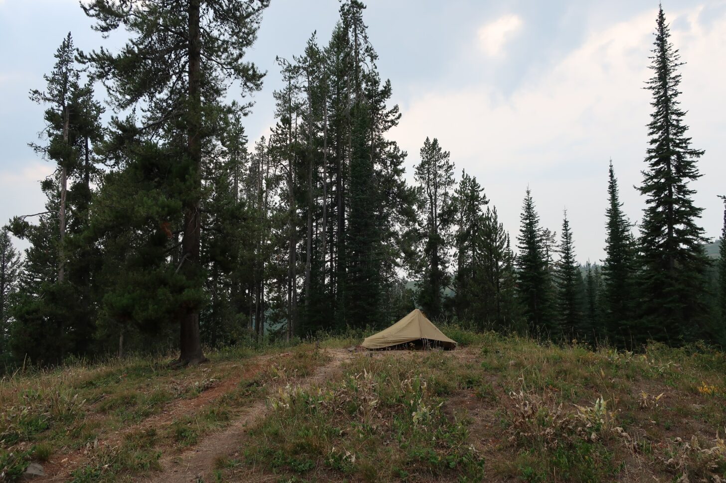 A tent in a forested setting at sunset.