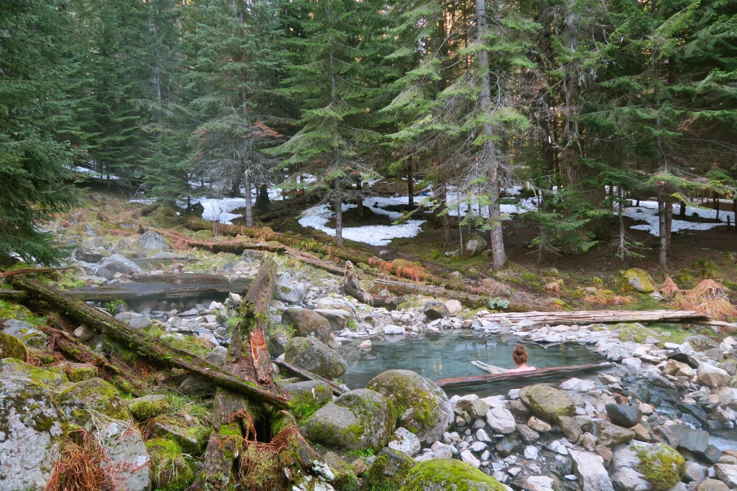 A person soaks in a hot spring in a forested setting.