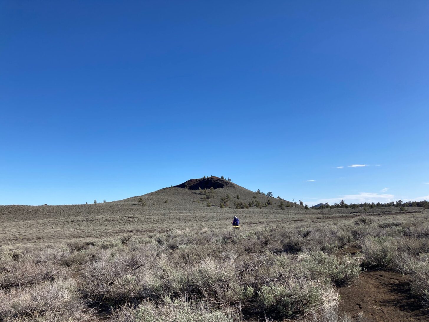 A hiker travels through sagebrush toward a conical hill in the distance with blue sky above.