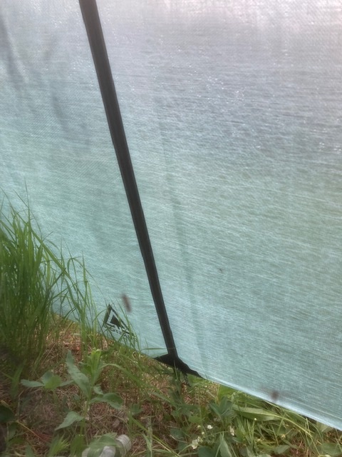 view from inside a tent vestibule showing the door zipper