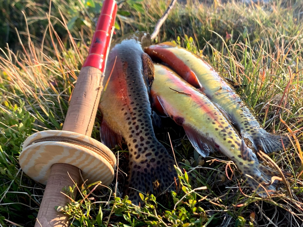 tenkara rod and trout