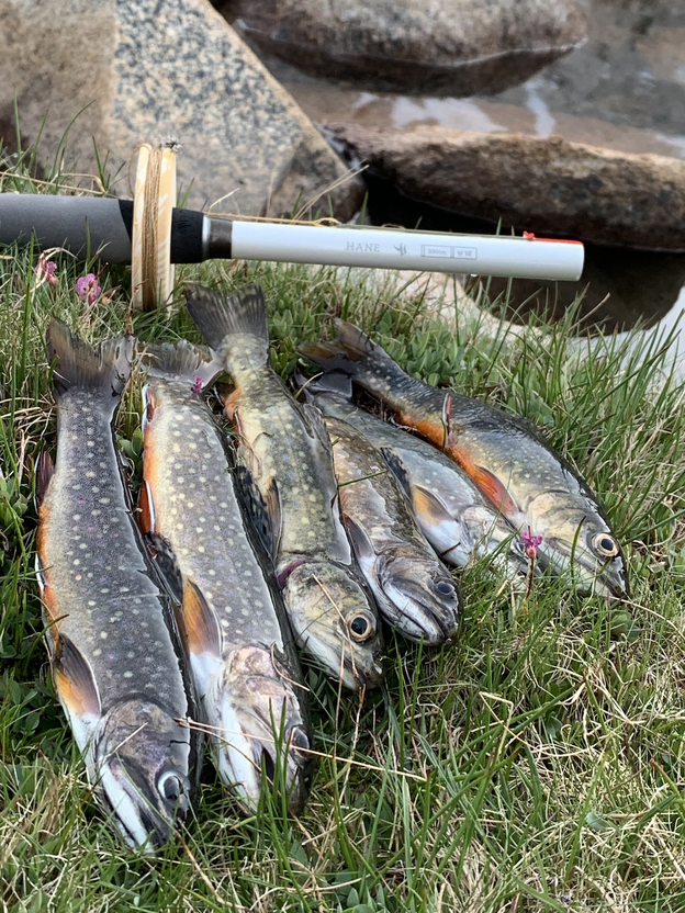 tenkara hane rod and brook trout