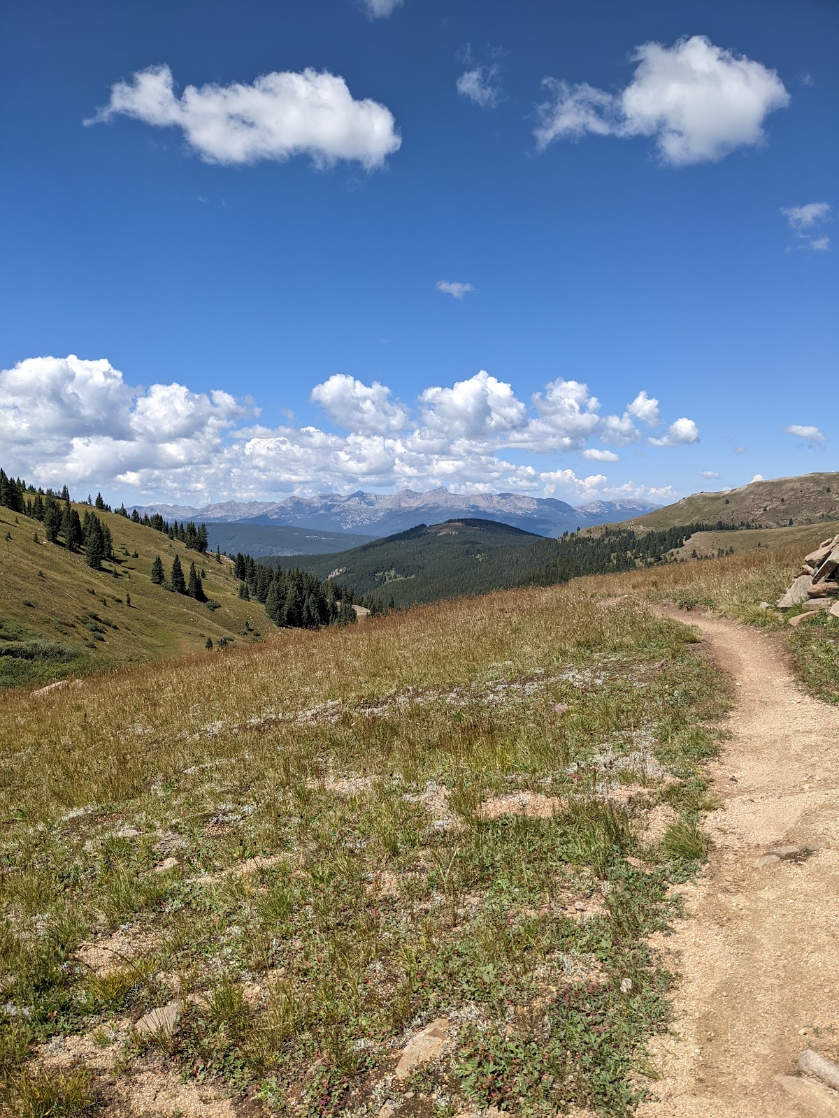 Strange Homecomings: A Journey on the Colorado Trail