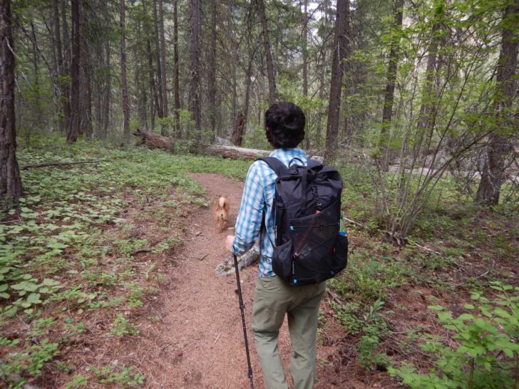 a shot from behind of a man walking down a forested trail while wearing a simple black backpack.