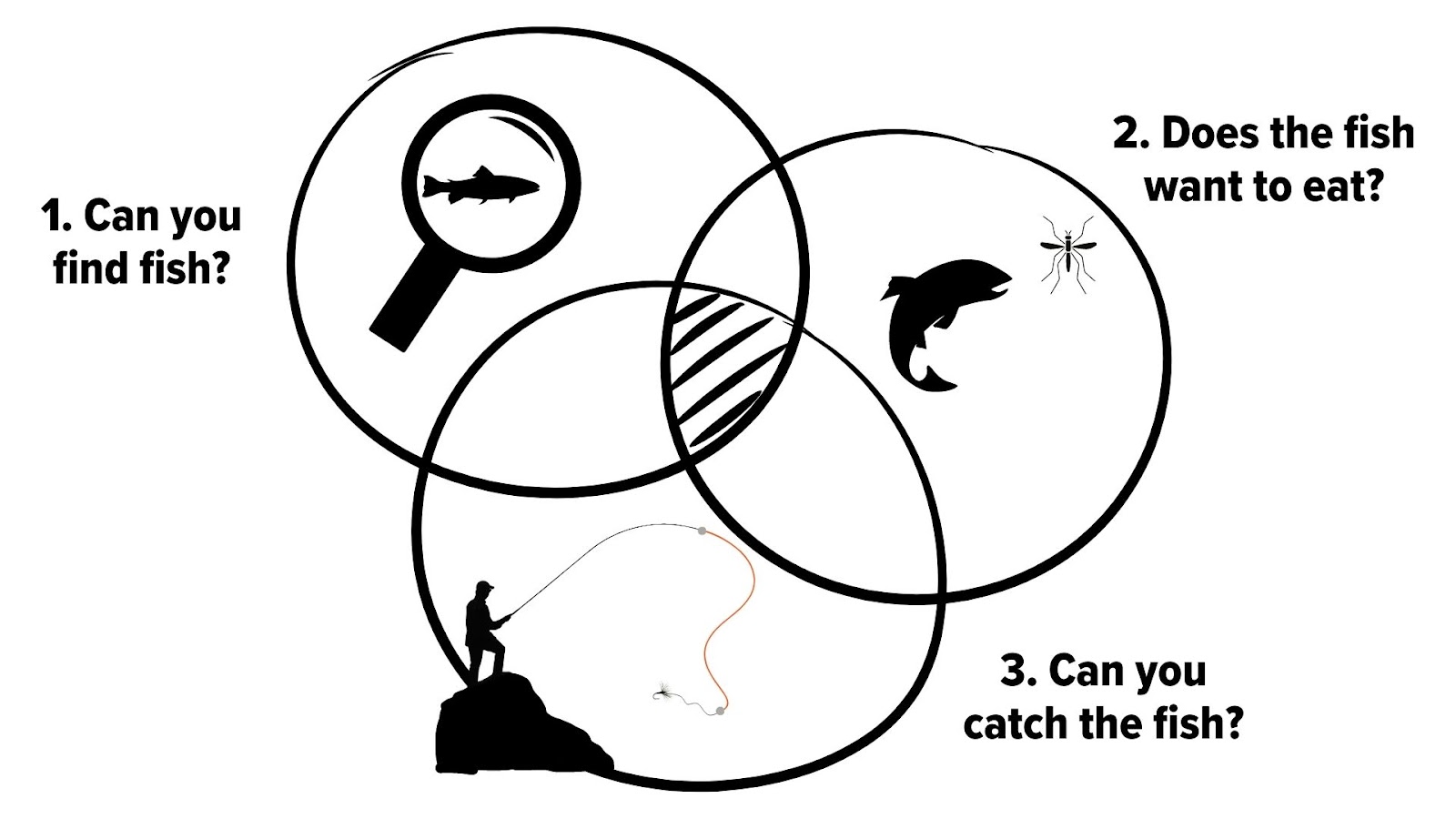 a diagram of a fish and a fish finder
