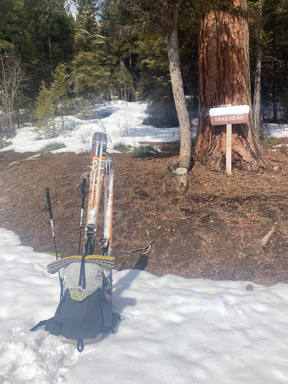 a pair of skis sitting in the snow next to a tree