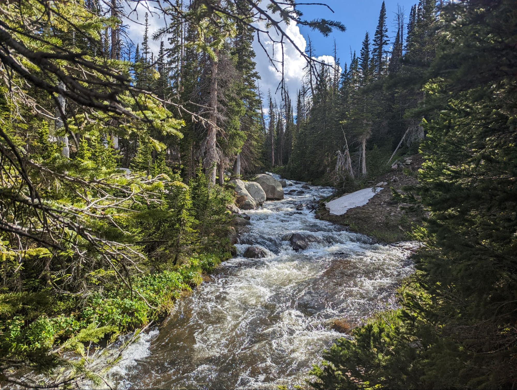 a river running through a forest filled with trees