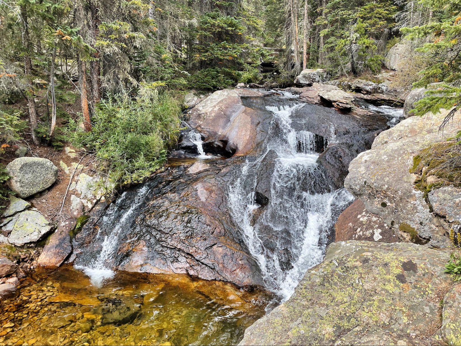 a small waterfall in the middle of a forest