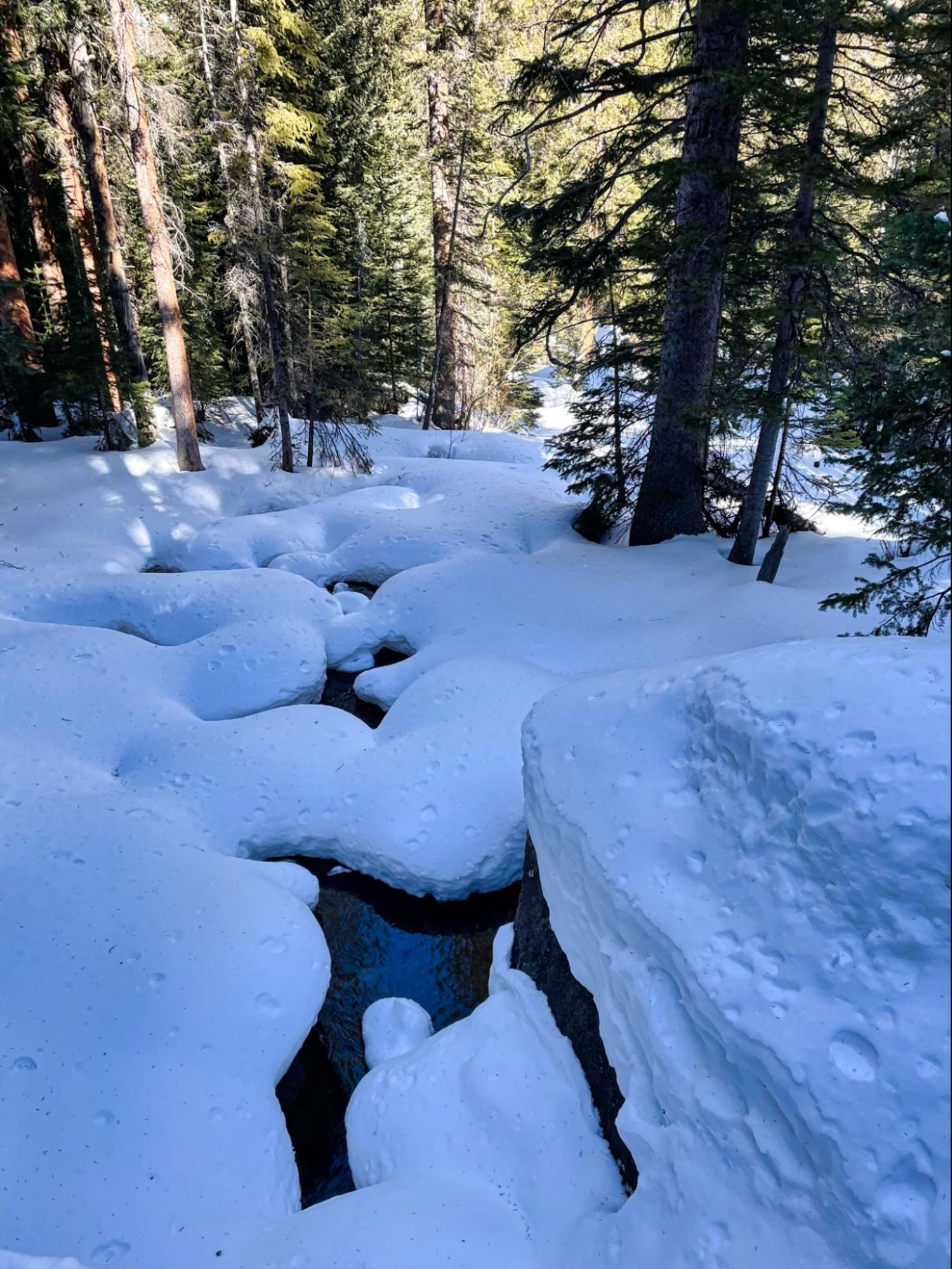 a stream running through a snow covered forest