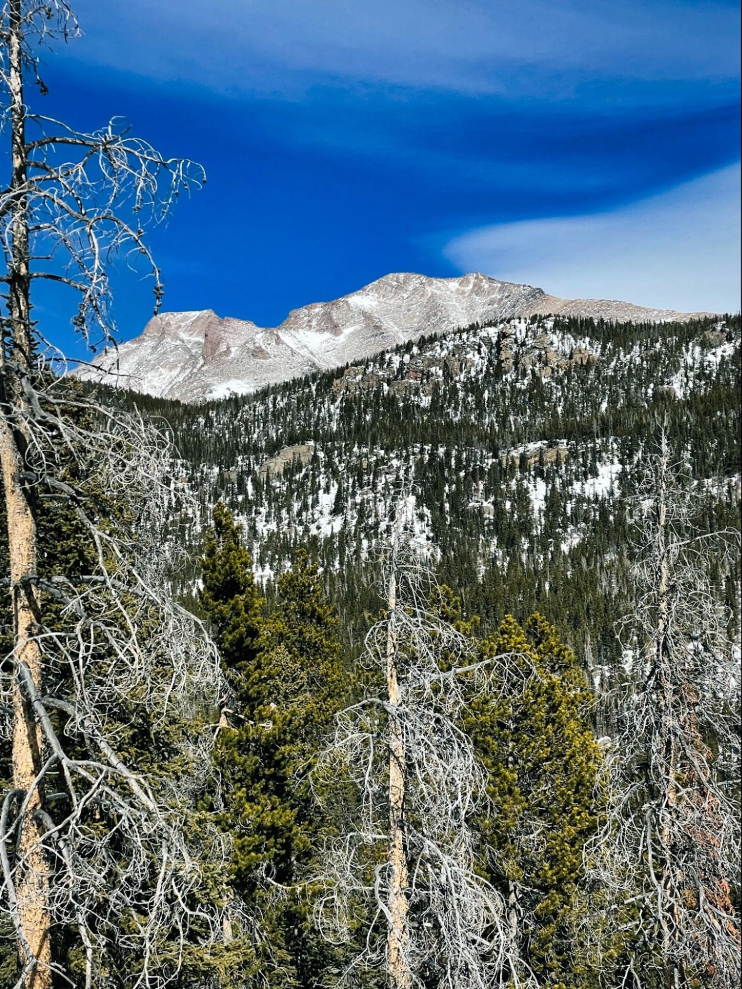 a view of a snowy mountain with trees in the foreground