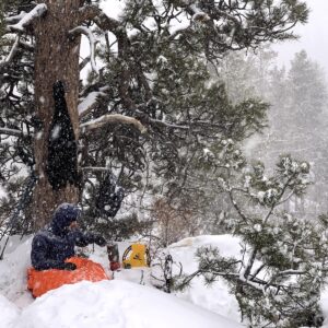 a person sitting in the snow next to a tree