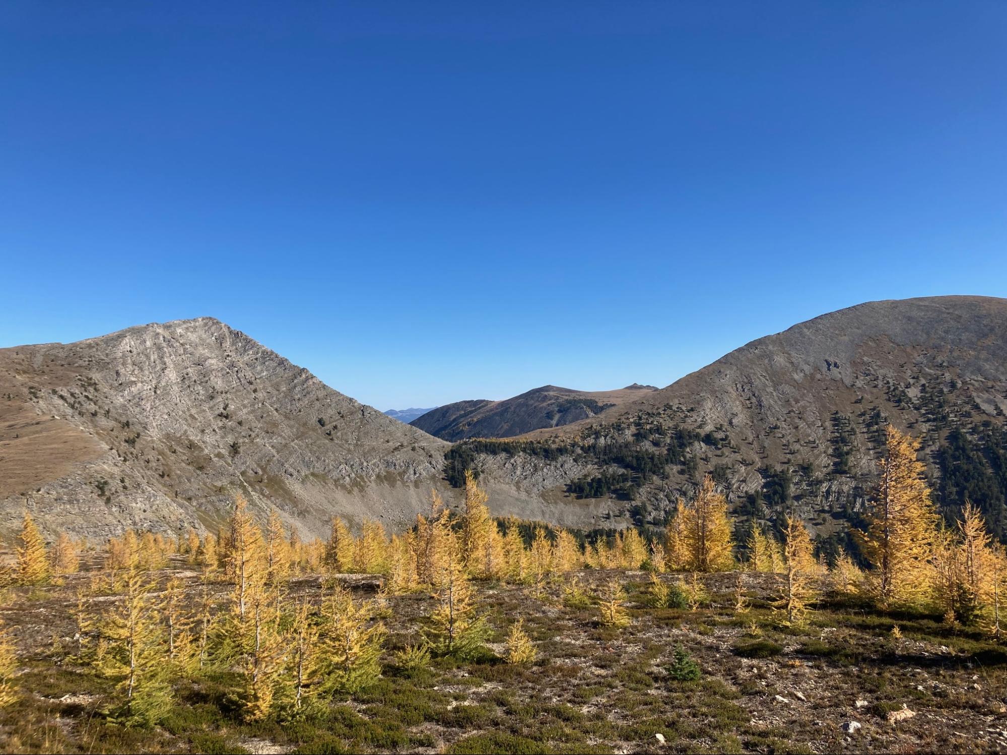 a view of a mountain range with trees in the foreground