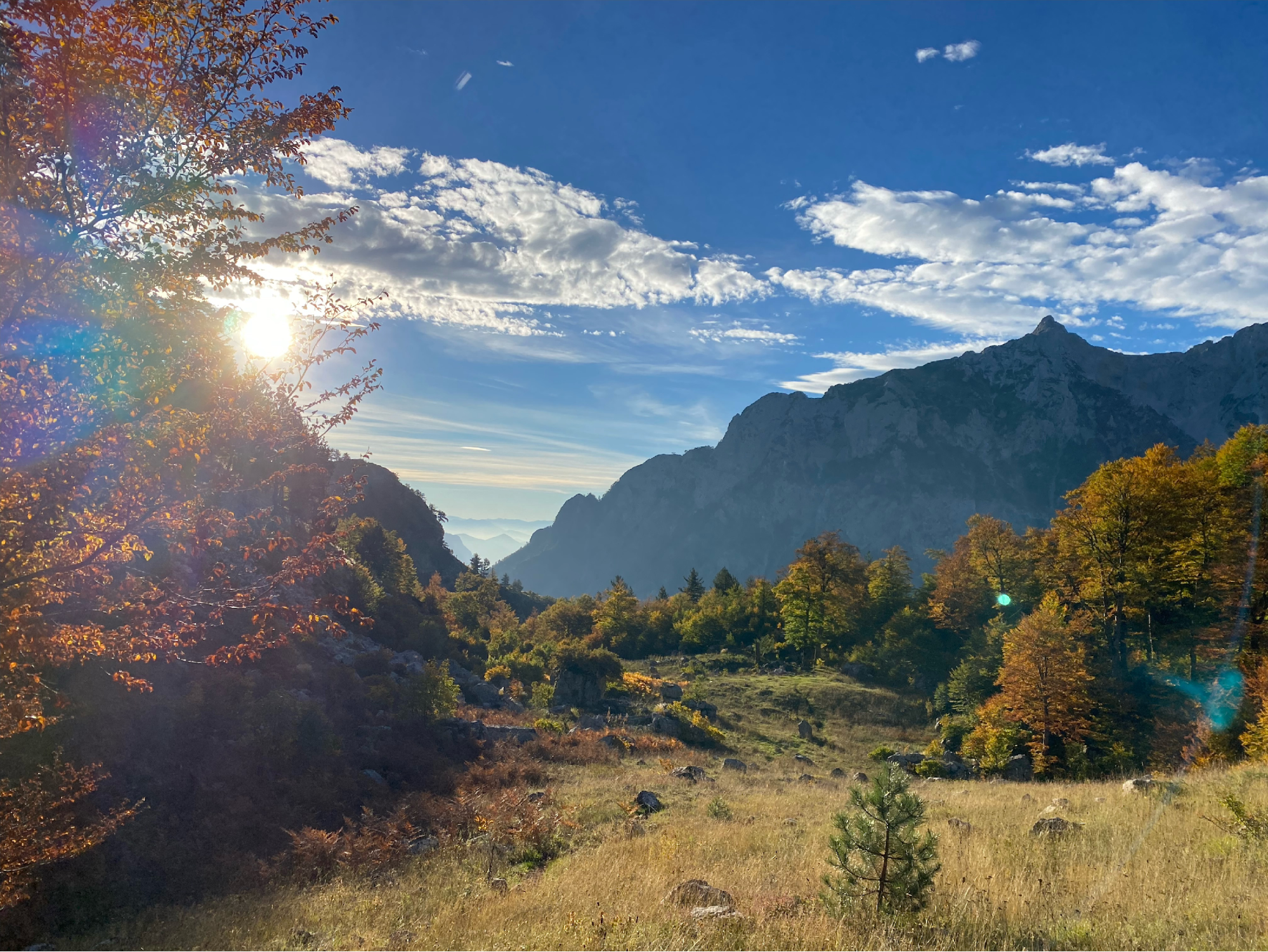 open meadown in a mountain valley