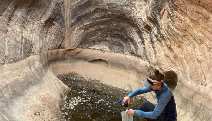 desert water source