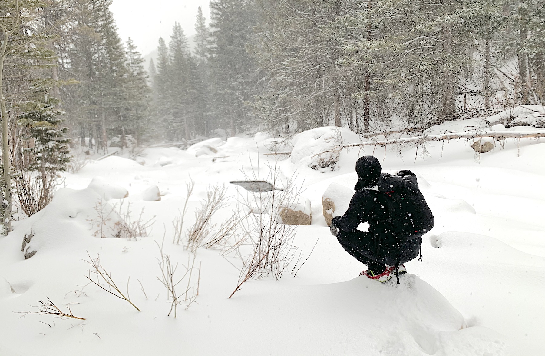 ryan in snow