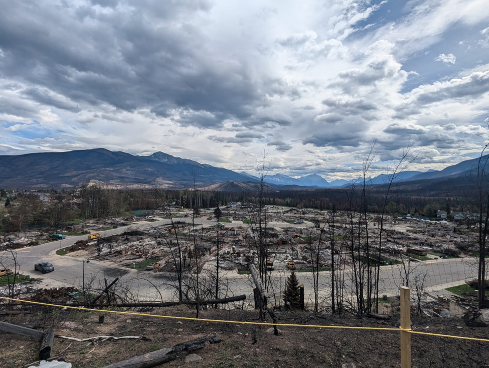neighboorhood demolished from wildfires