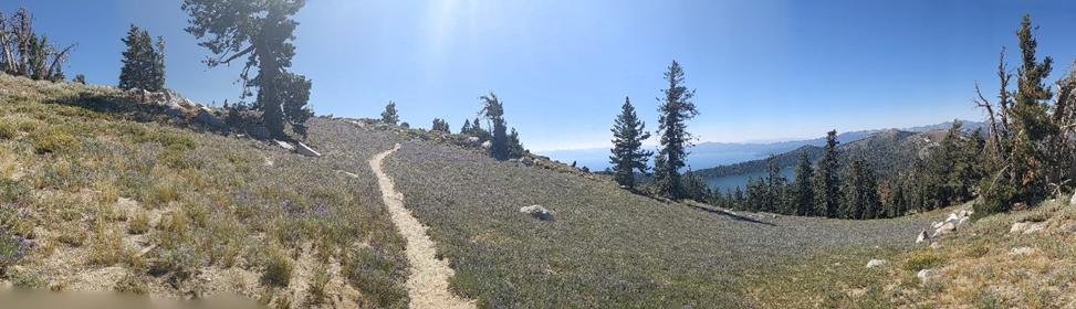panorama of a trail