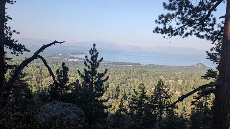 lake tahoe between the trees