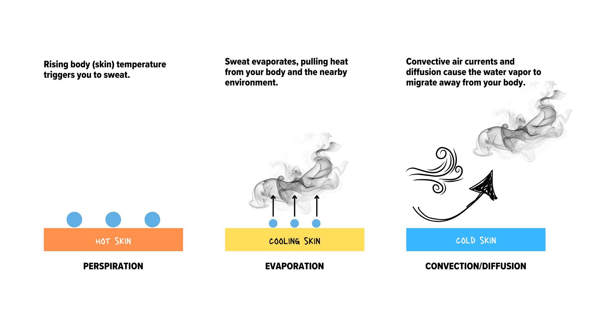 perspiration, evaporation, convection/diffusion