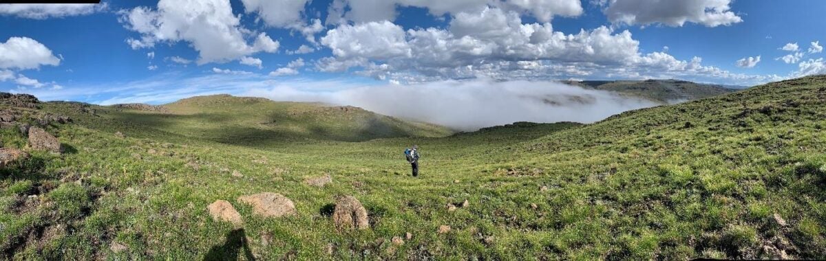 panorama of an alpine meadow