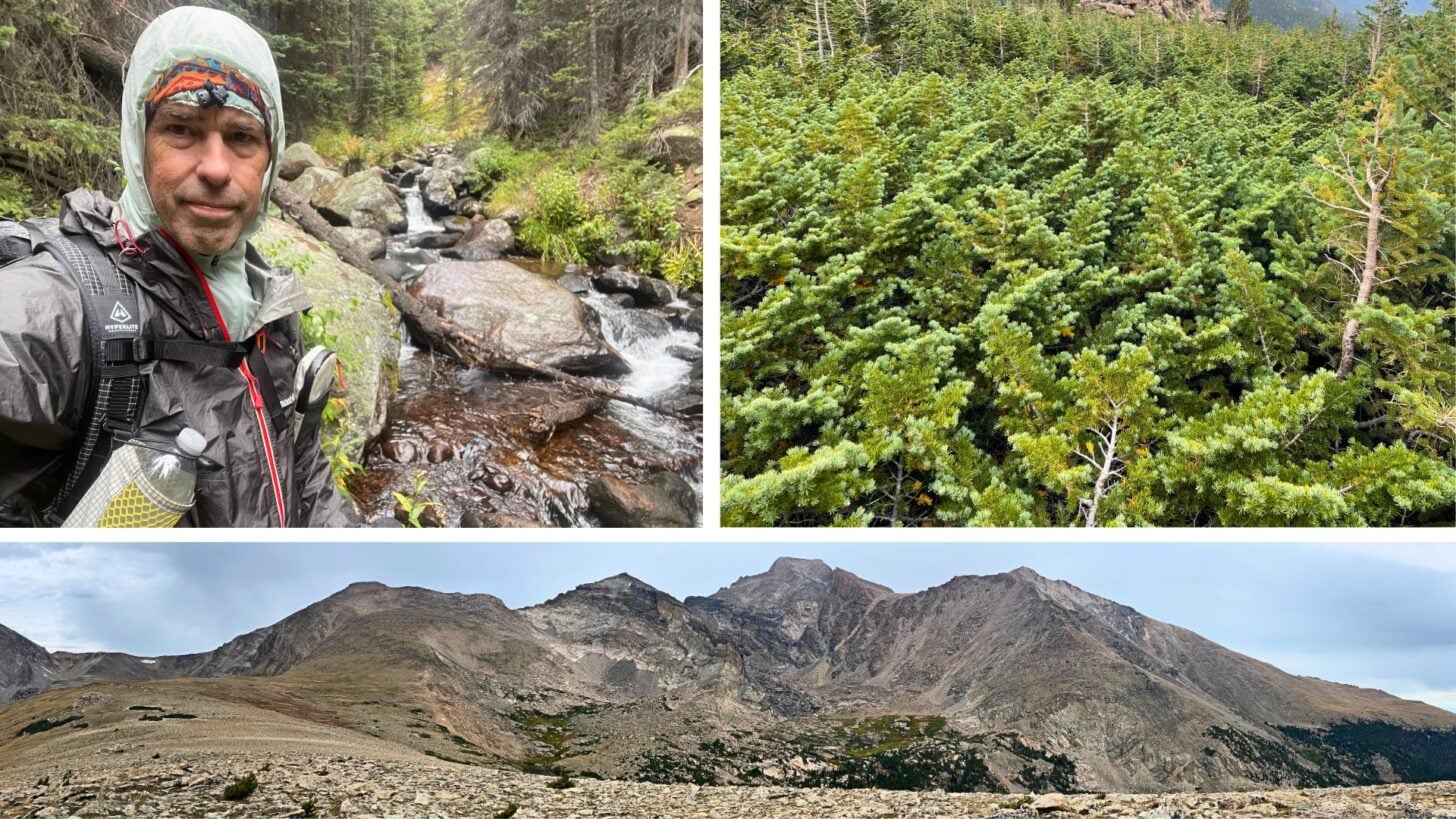 3-panel photo, upper left shows a hiker in the midst of a wet bushwhack and stream crossing, upper right shows a thick copse of krummhoz, bottom shows an exposed alpine environment