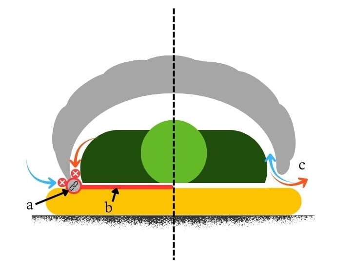 Schematic of a body-anchored quilt, showing how drafts are blocked and allowed based on whether or not the quilt edge is tucked towards the user, or the gap exists between attachment points.