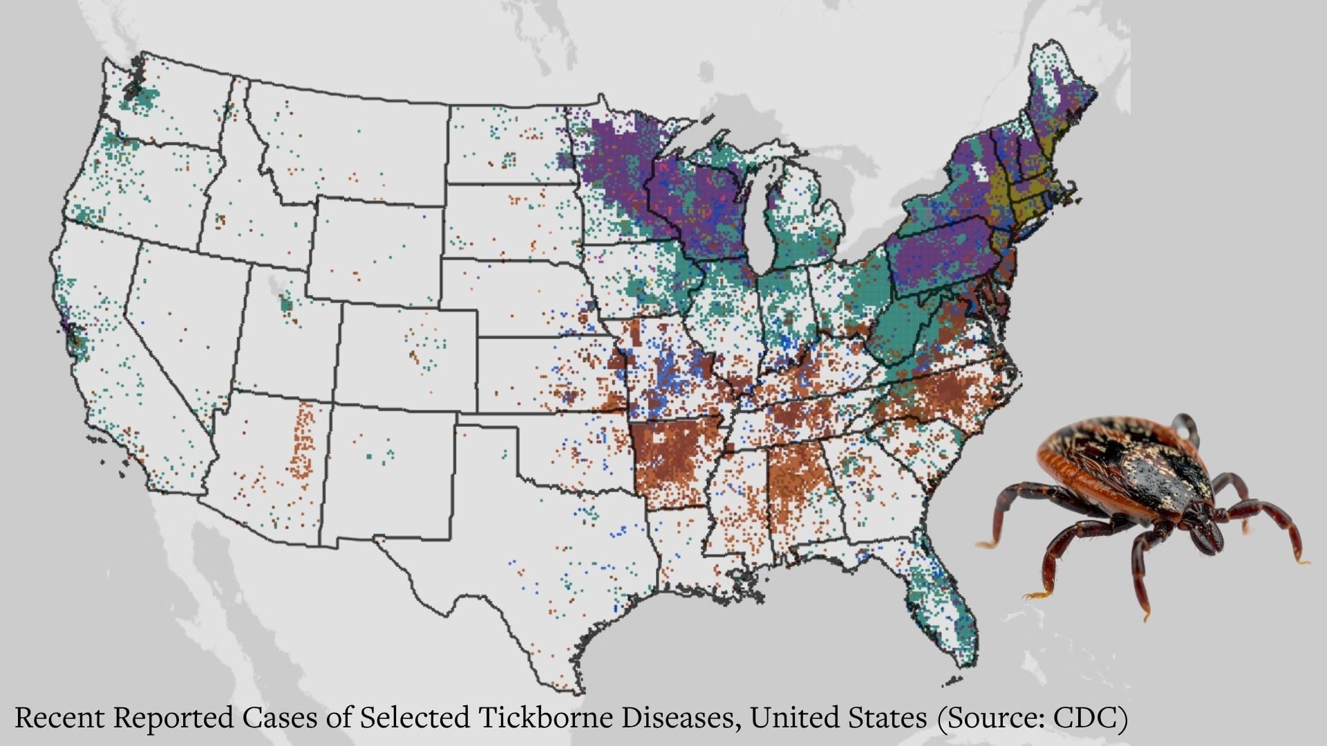 The four layers of tick bite prevention.
