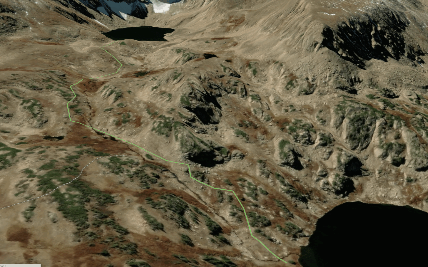 sat image of a mountain area showing tundra, talus, willows, and krummholz