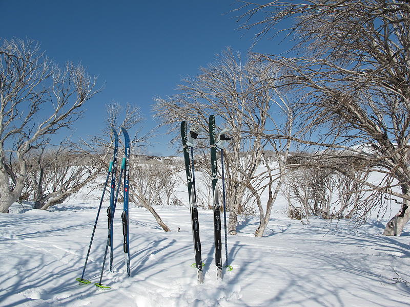 Voile Objective BC ski - Backpacking Light