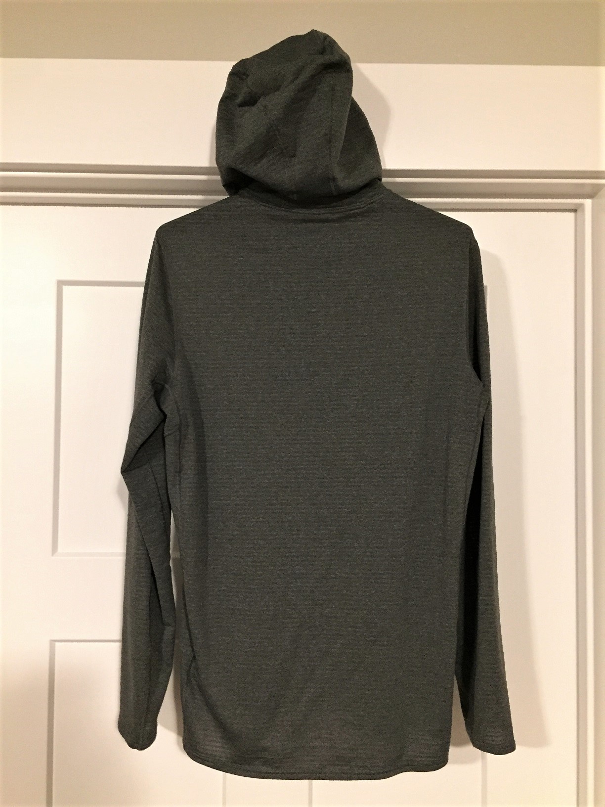 patagonia capilene thermal weight hoody