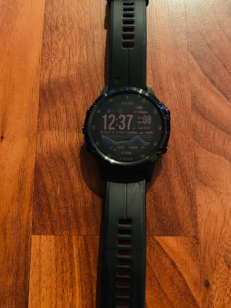 garmin fenix fs plus