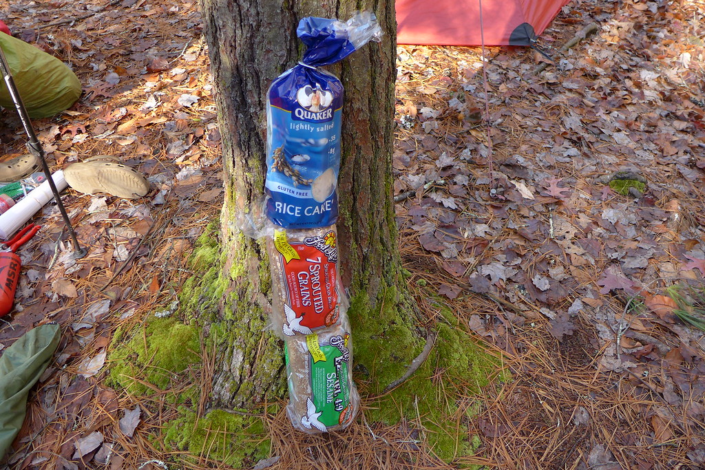 Can backcountry fishing save carried food weight? - Backpacking Light