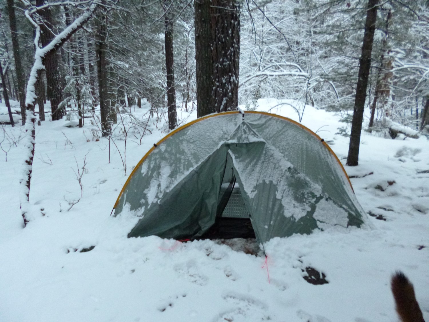 solo backpacking tent
