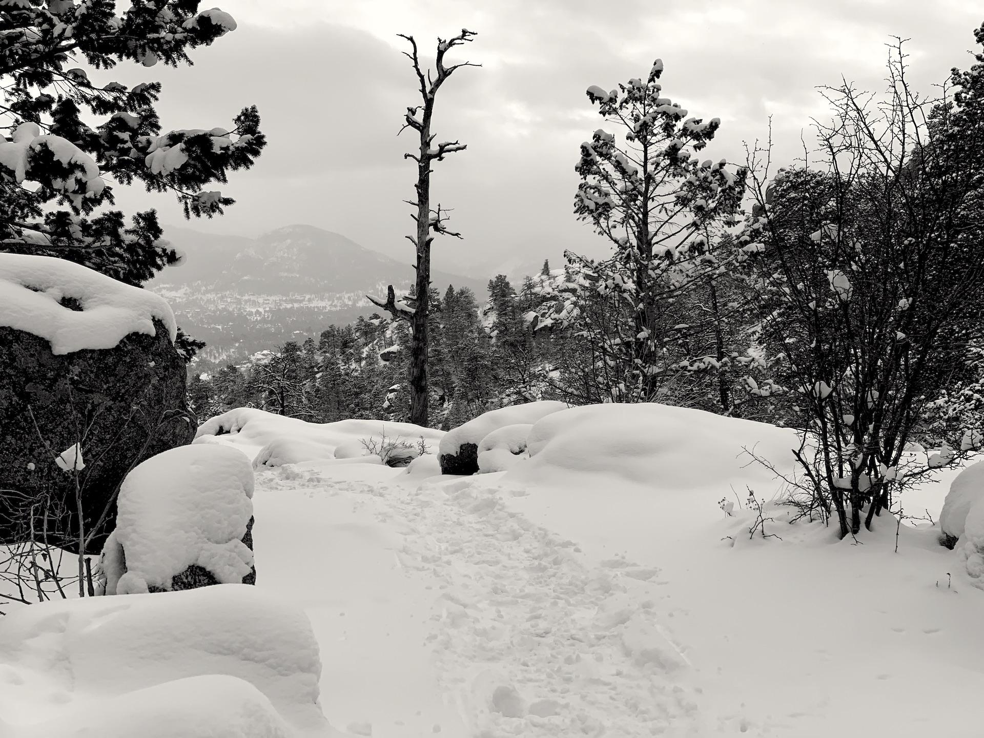 last night's stroll near Estes Park