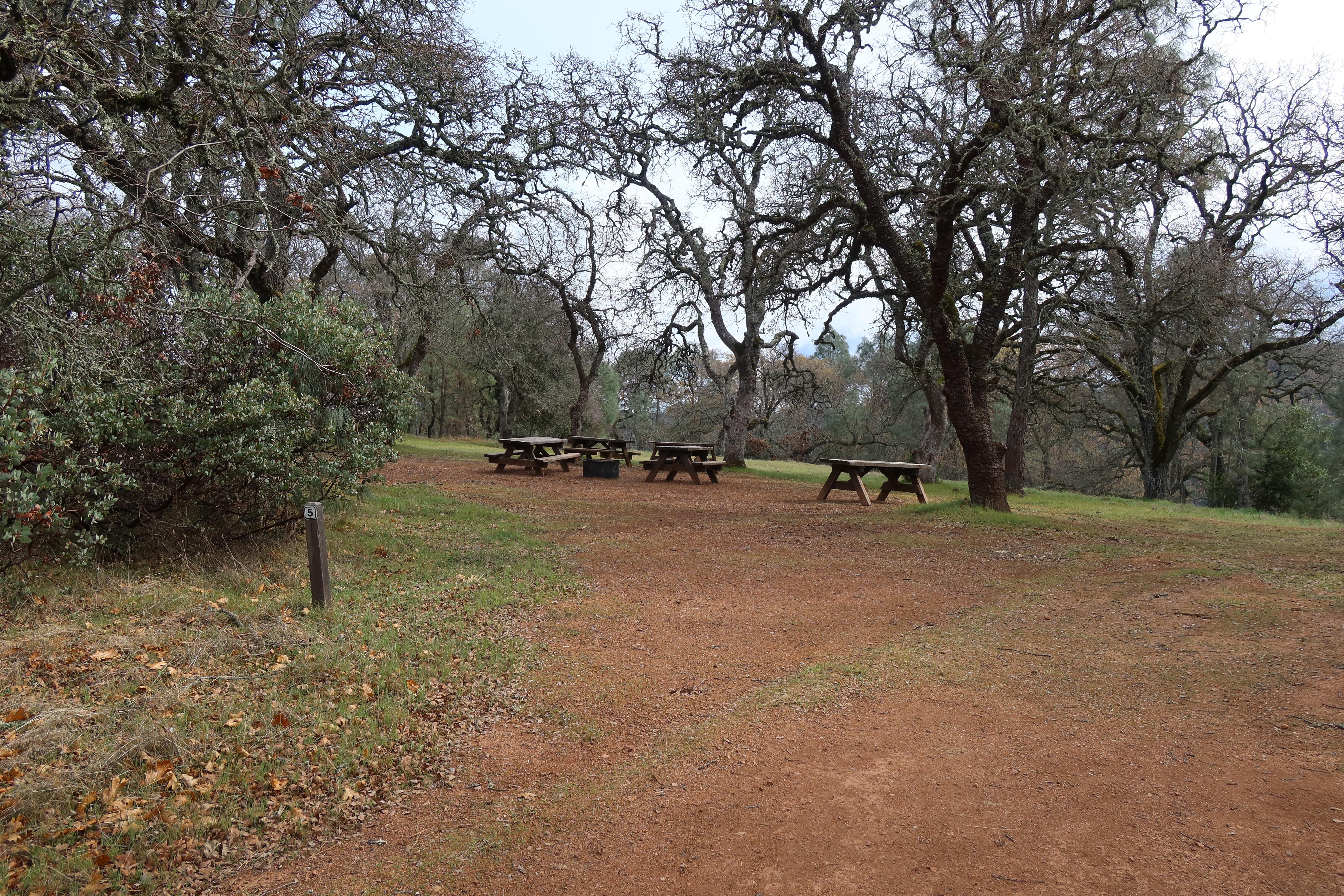 Site 5, Manzanita Point