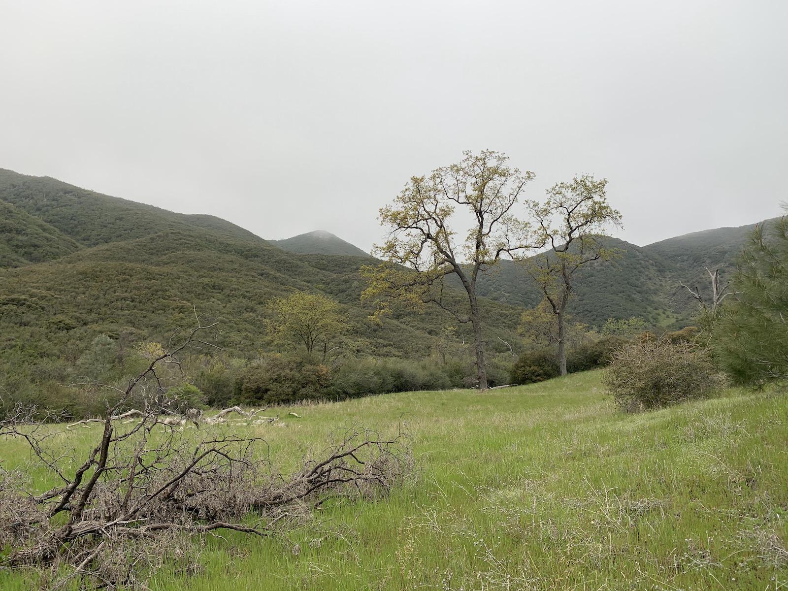 Meadow where I camped