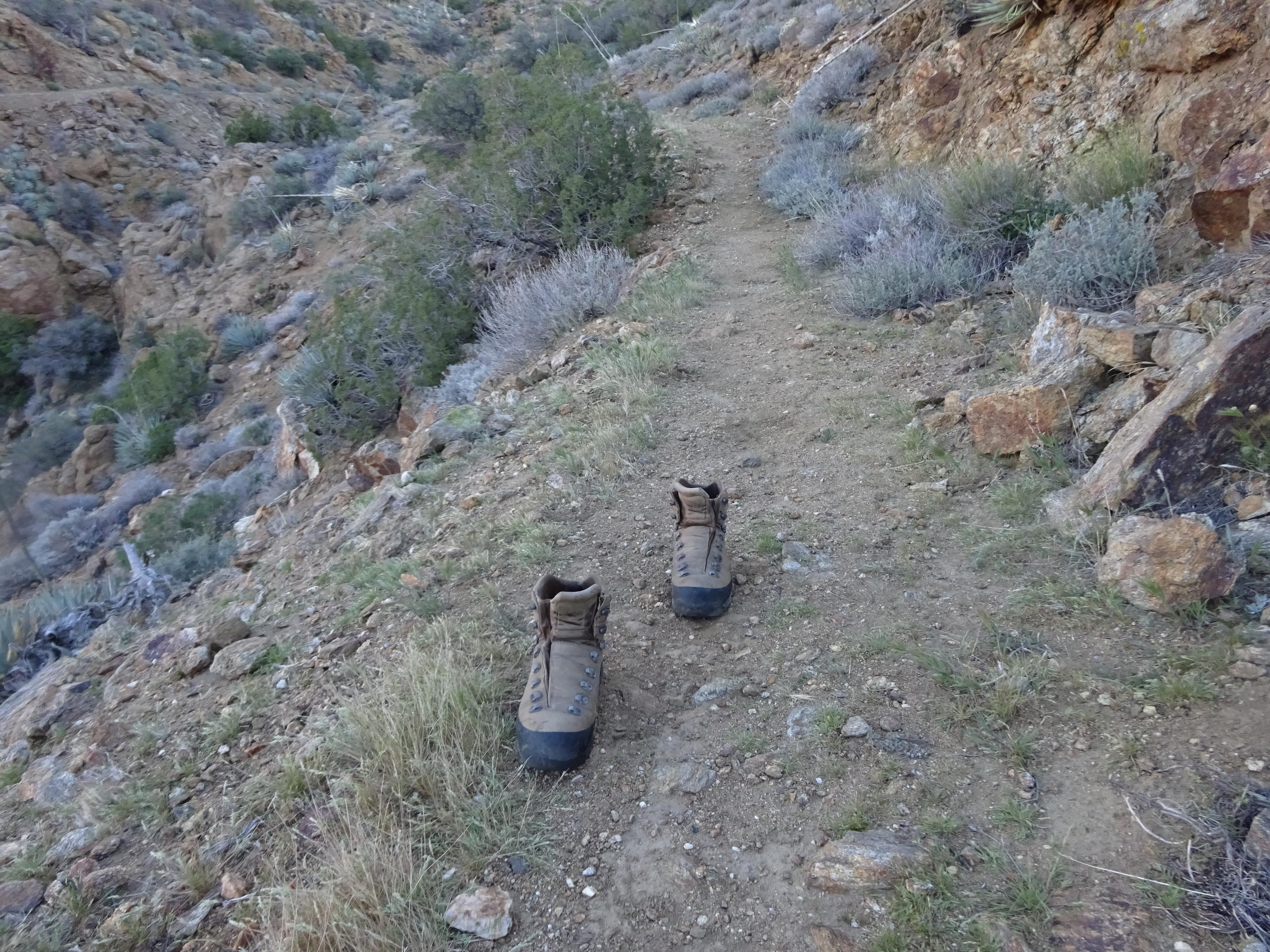 Abandoned boots