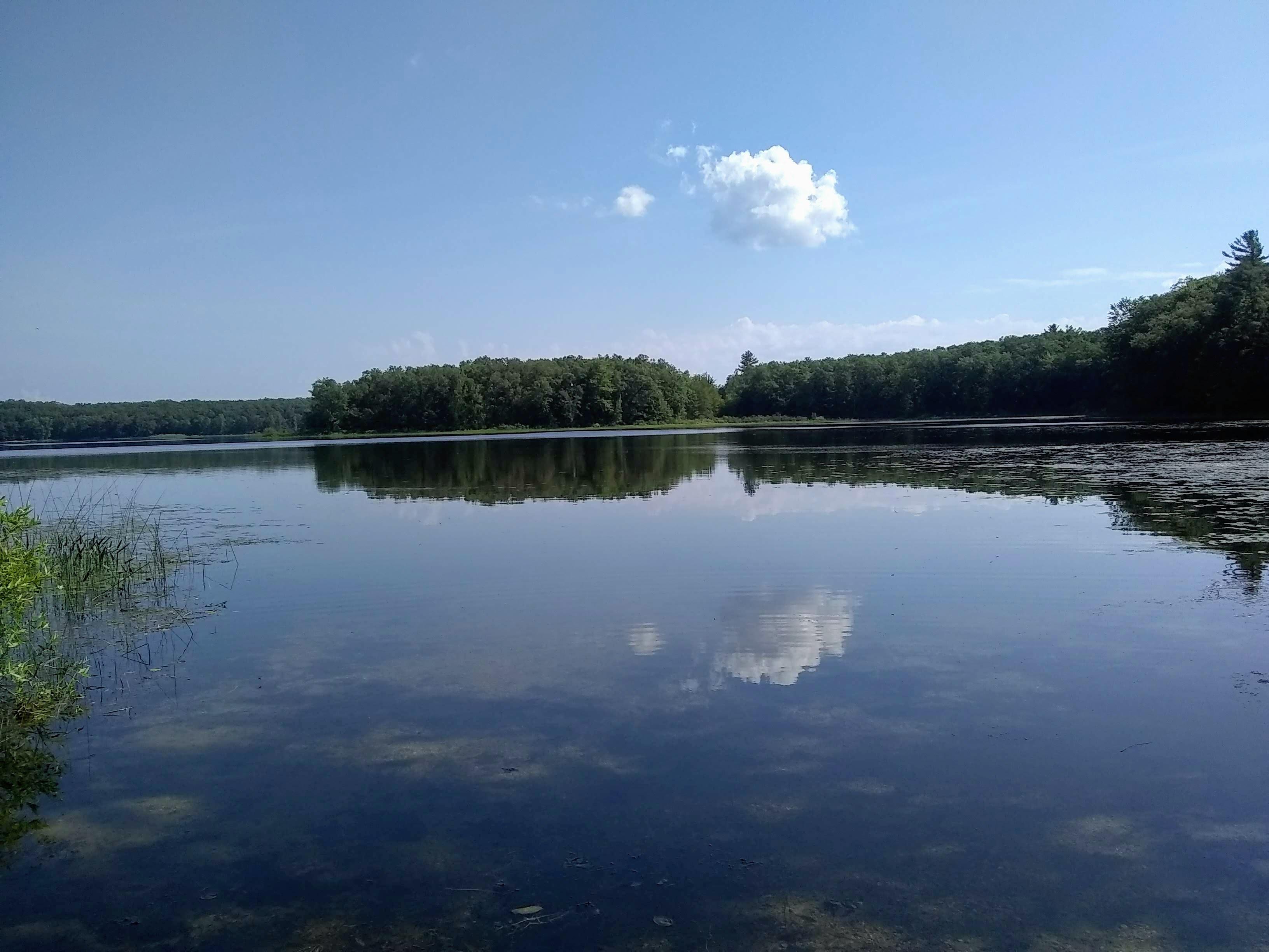 Nichols Lake from small boat landing