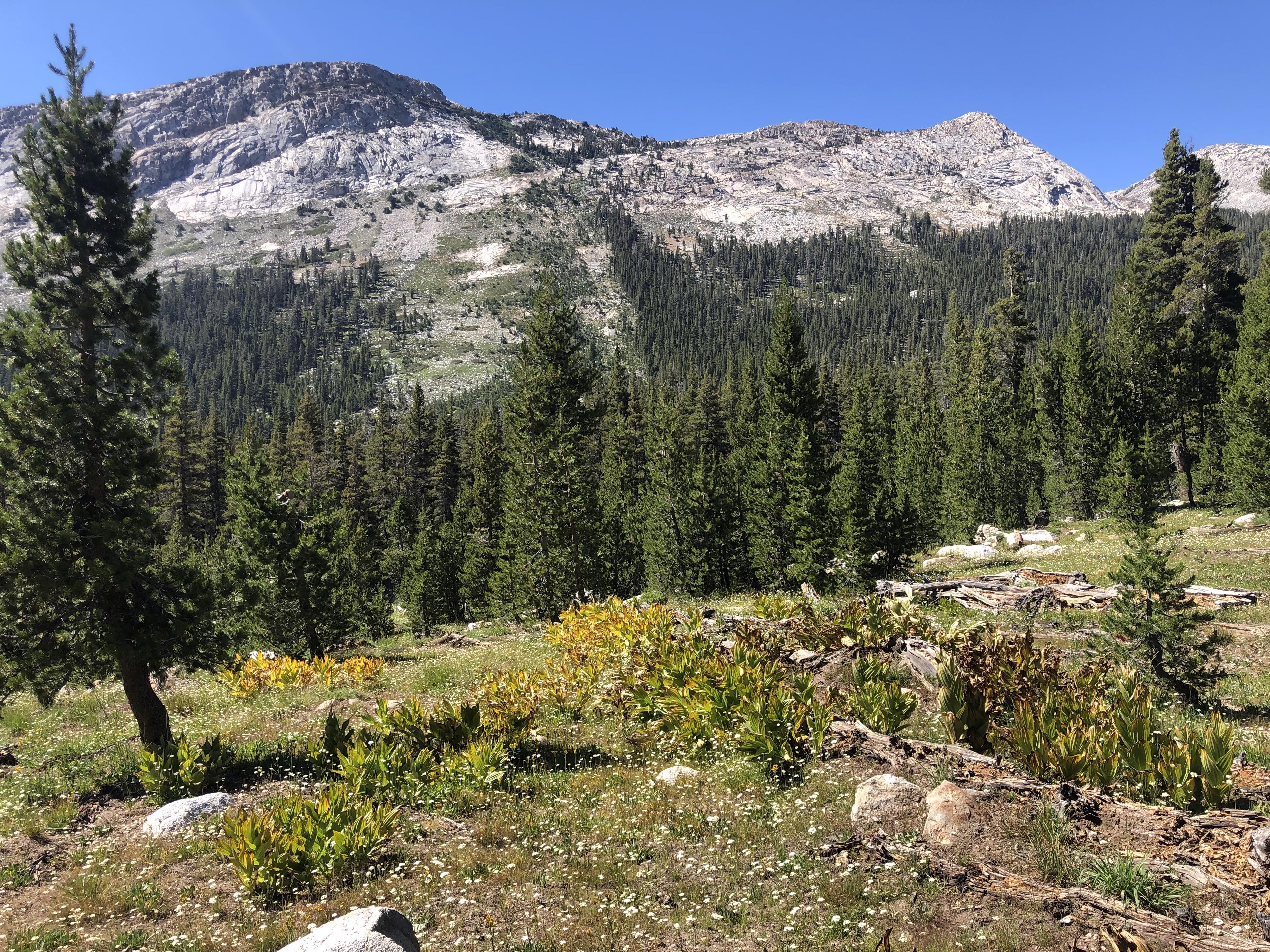 Virginia Canyon