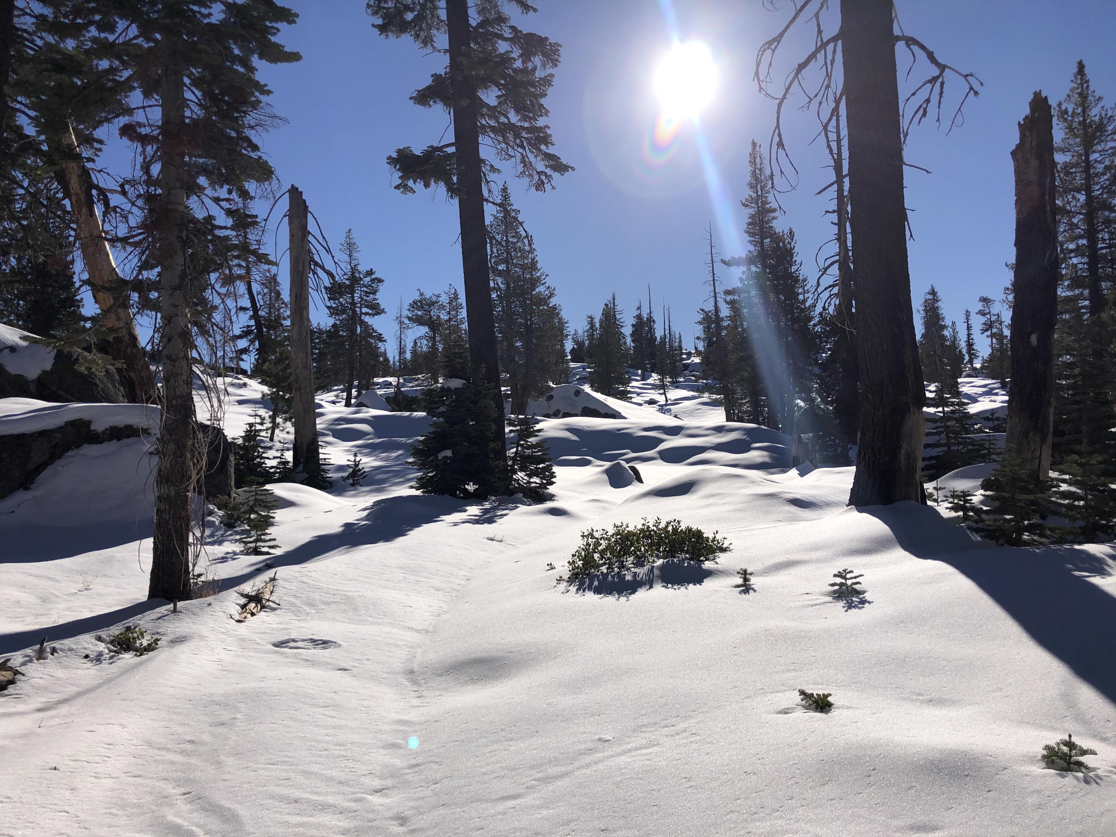 Emigrant Wilderness in the snow